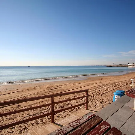 1 Bedroom Pet Friendly In Apartment Torrevieja